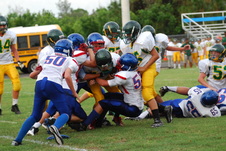 Enlarge photo 216