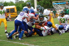 Enlarge photo 215