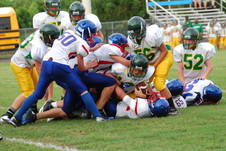 Enlarge photo 218