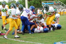 Enlarge photo 219