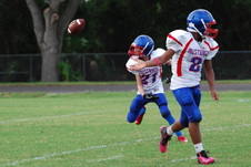 Enlarge photo 220