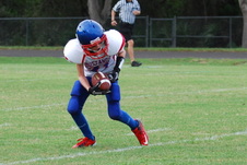 Enlarge photo 225