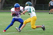 Enlarge photo 227