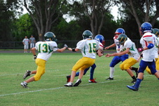 Enlarge photo 228