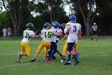 Enlarge photo 229