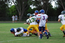 Enlarge photo 231