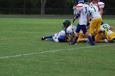 Enlarge photo 233