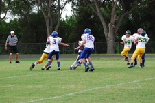Enlarge photo 236