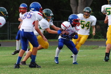 Enlarge photo 235