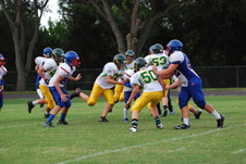 Enlarge photo 237