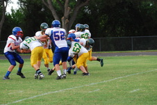 Enlarge photo 241
