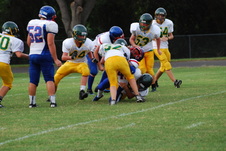Enlarge photo 242