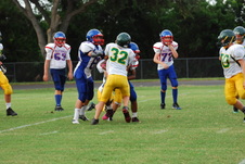 Enlarge photo 259