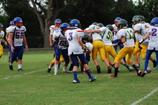 Enlarge photo 260