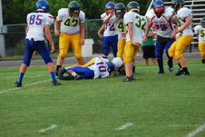 Enlarge photo 270