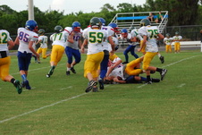 Enlarge photo 319