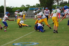 Enlarge photo 320