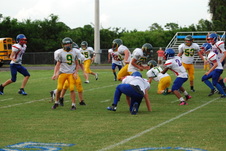 Enlarge photo 324
