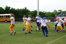 Enlarge photo 325