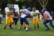 Enlarge photo 331