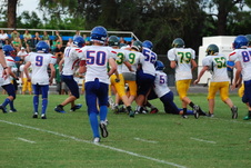 Enlarge photo 343