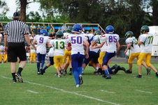 Enlarge photo 344