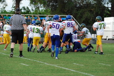 Enlarge photo 346