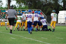 Enlarge photo 347