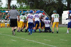 Enlarge photo 348