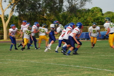 Enlarge photo 377