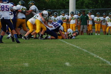 Enlarge photo 395
