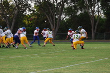 Enlarge photo 398
