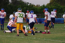 Enlarge photo 424