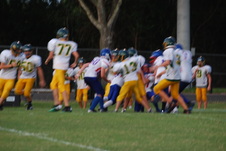 Enlarge photo 429