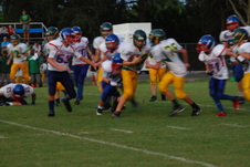 Enlarge photo 430