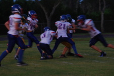 Enlarge photo 442