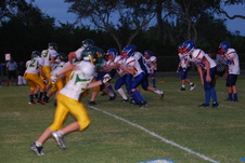 Enlarge photo 443
