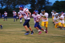 Enlarge photo 455