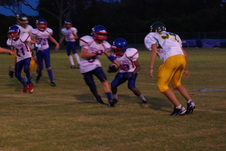 Enlarge photo 471