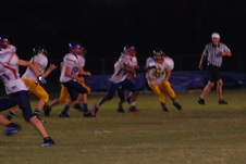 Enlarge photo 479