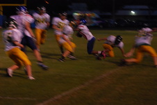 Enlarge photo 483
