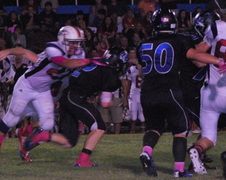 Enlarge photo 29