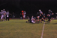 Enlarge photo 56