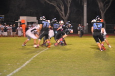 Enlarge photo 127