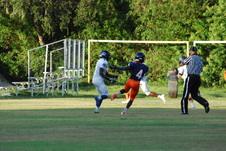 Enlarge photo 15