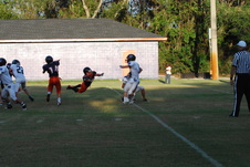 Enlarge photo 23