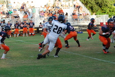 Enlarge photo 42
