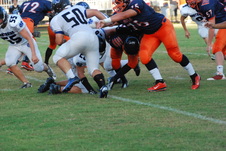 Enlarge photo 46