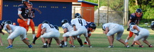Enlarge photo 71