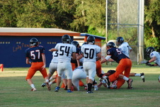 Enlarge photo 77